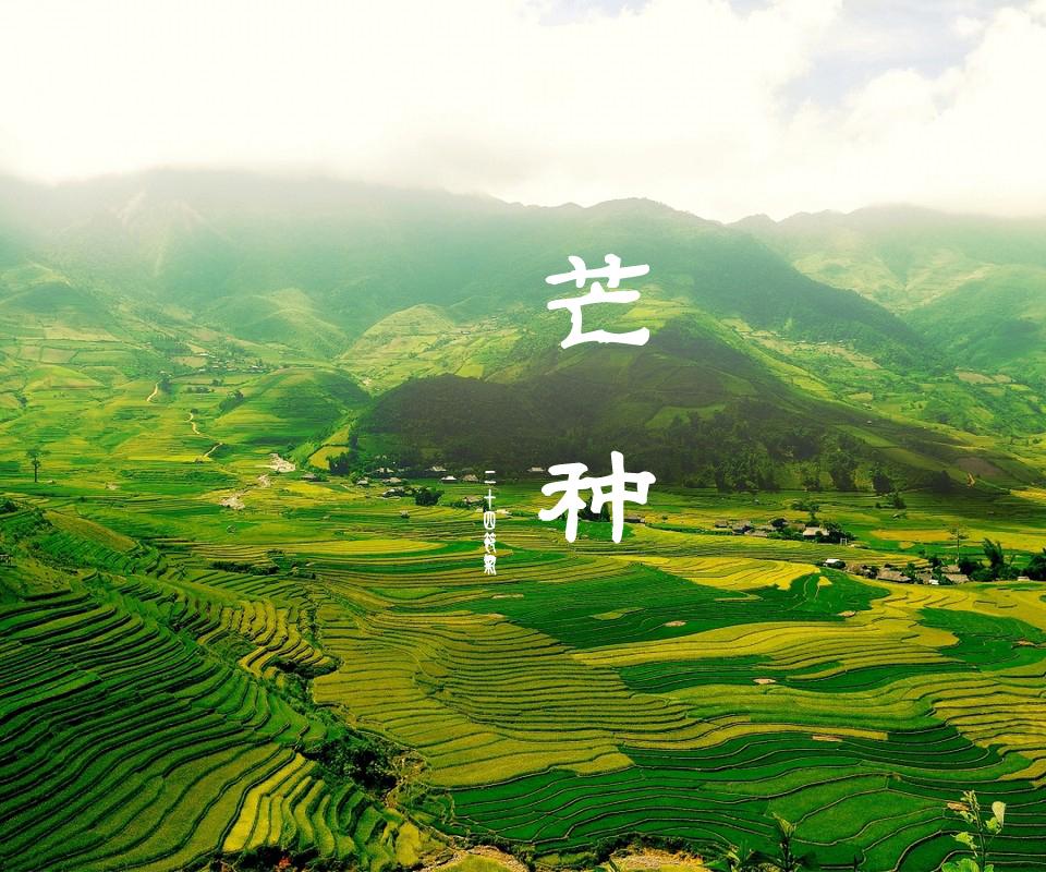 芒種|一體機伺服糾偏系統(tǒng)廠家愿您種下希望,收獲美好